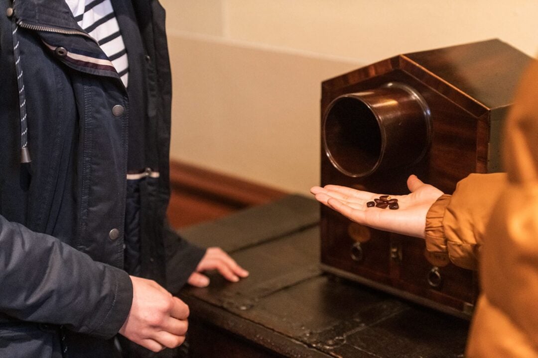 Close-up of 2 people looking at a box and brown coloured beans.