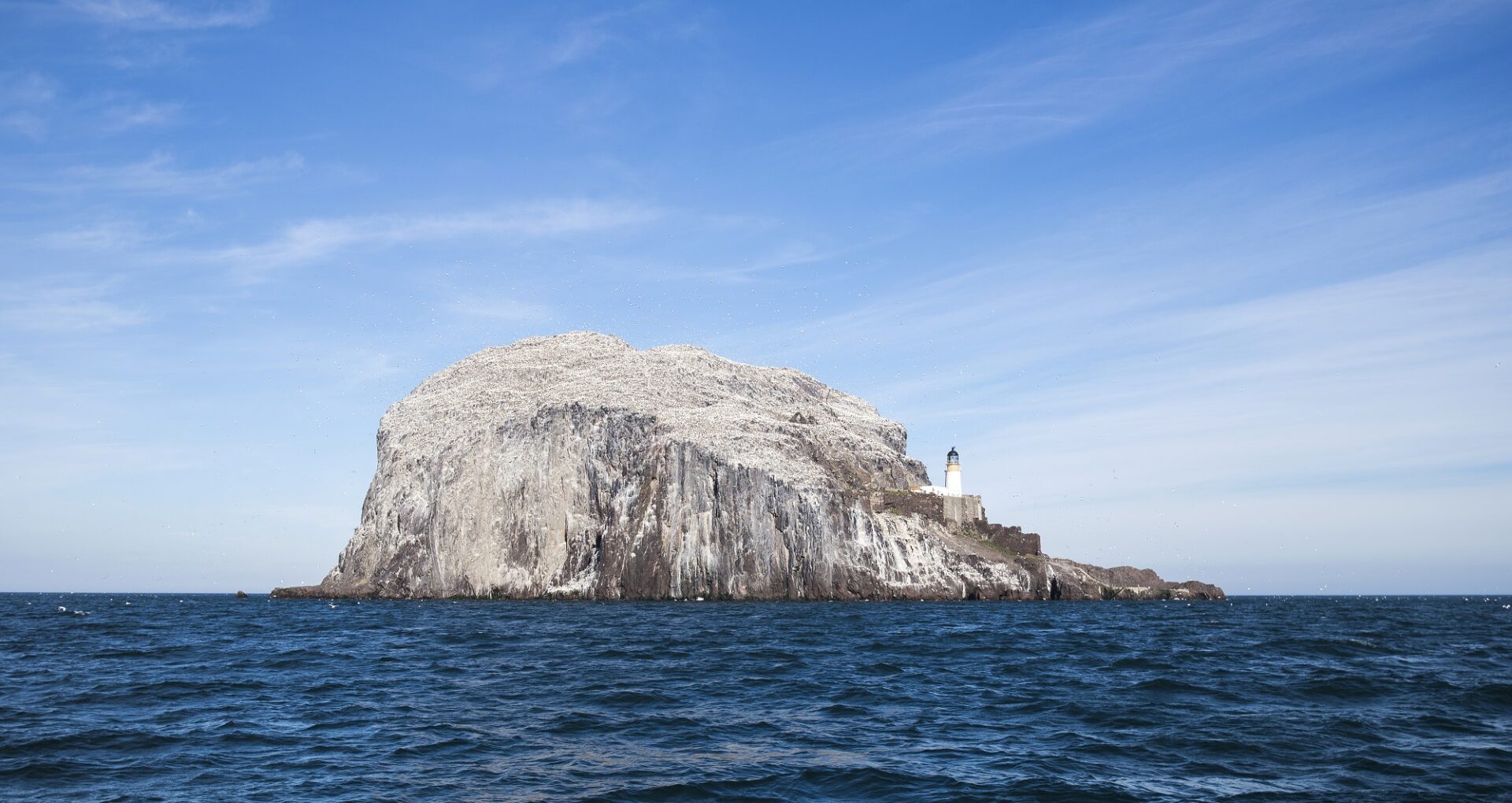 The Bass Rock seen from the Seafari Explorer - Seabird Cruise