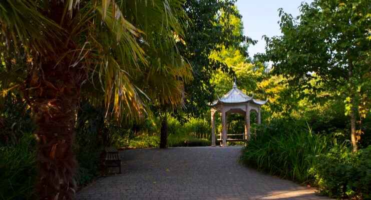 Botanic Garden view of Chinese garden Pagoda Autumn colours