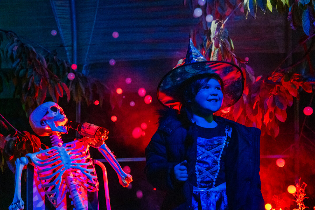 Young girl dressed as witch with skeleton in background.