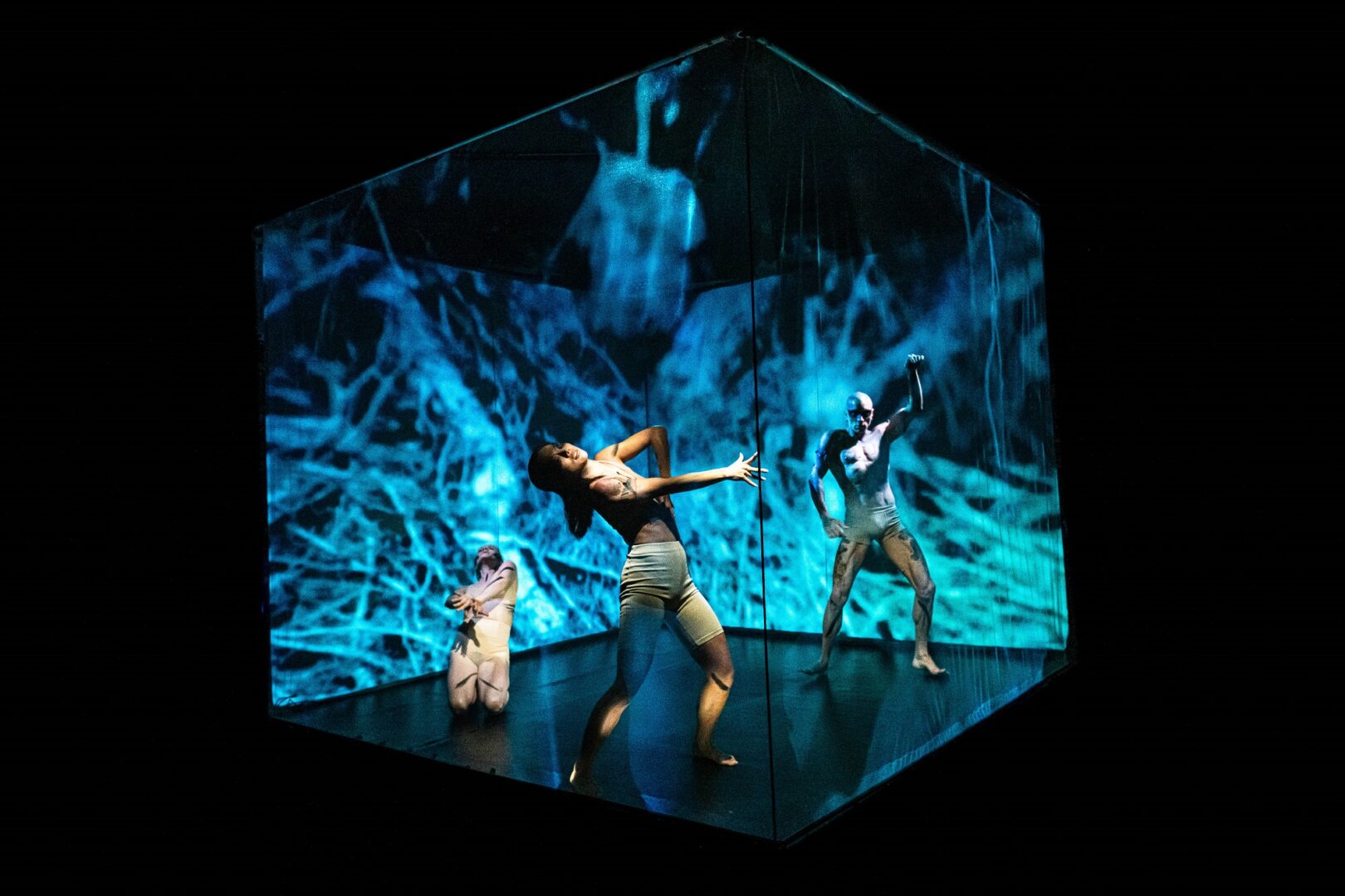 Manipulate festival image of people dancing inside a glass box.