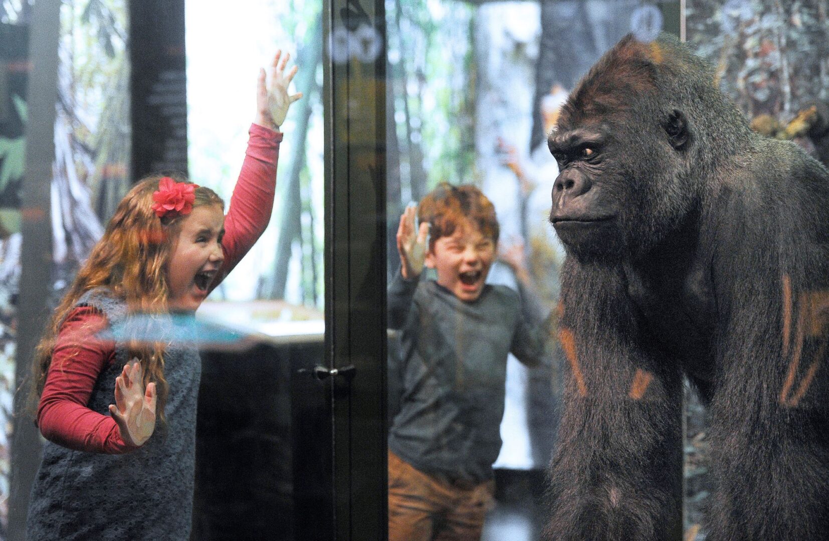 Young children looking in amazement at a taxidermy gorilla