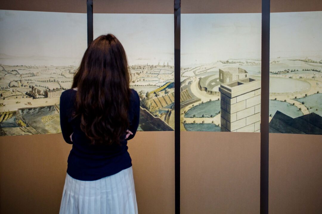 Image of person with long dark hair with their back to camera, looking at landscape image of a city.