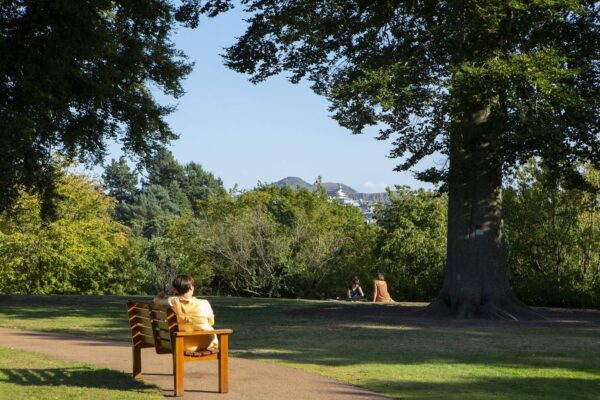 Botanic Garden view sun bathers