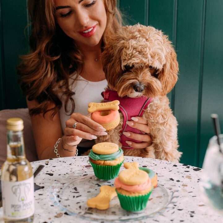 Food for dog and owner at Sip and Bark