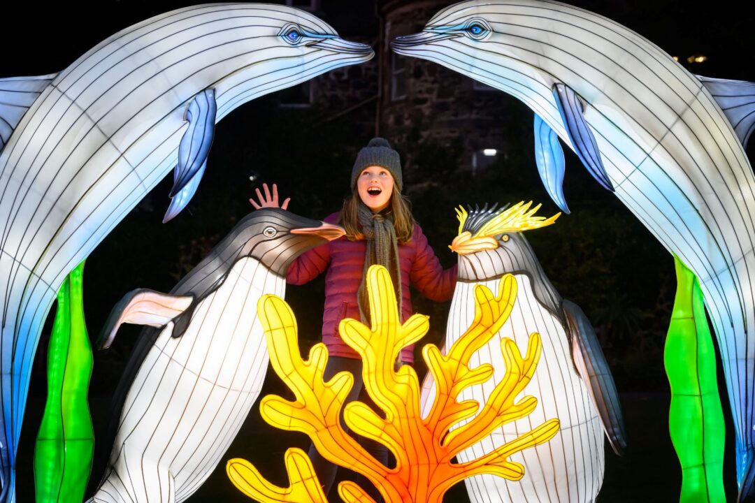 Young girl looking at a light display of 2 dolphins and 2 penguins.