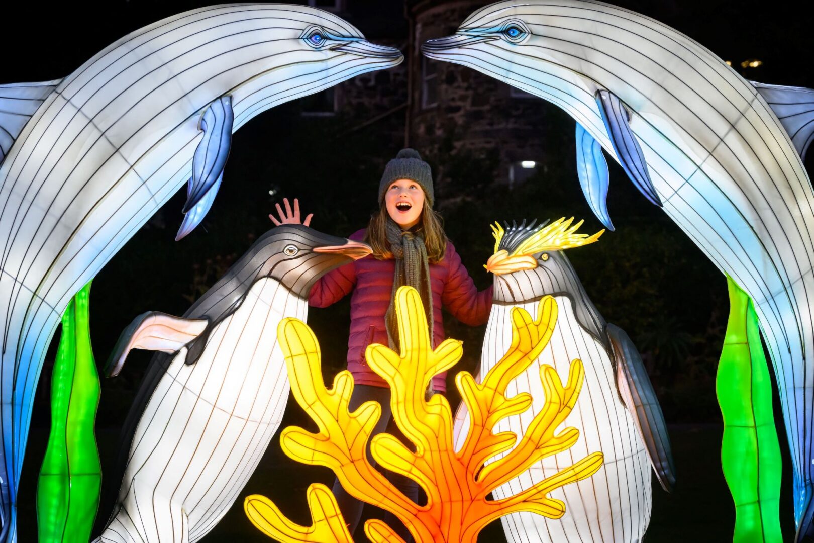 Young girl looking at a light display of 2 dolphins and 2 penguins.